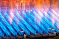 Duddingston gas fired boilers